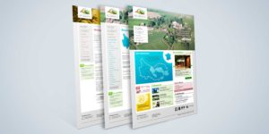 Site internet 2012 de la Communauté de Communes du Bas-Armagnac